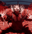 Show de Lady Gaga em Copacabana será maior que o Coachella, diz CEO da Bonus Track  Foto: Reprodução/ YouTube / Contigo
