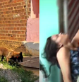 Corpo de bebê é achado em casa no Alagoas; mãe que apresentou cinco versões diferentes para sumiço da filha desmaia  Foto: Reprodução/Instagram @segurancaal