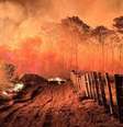 Incêndio Pantanal  Foto: CBMS/Divulgação