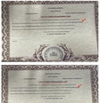Certificados de constituição de offshores dos empresários Alex e Fábio Parente, investigados na Operação Overclean   Foto: Reprodução/Processo judicial