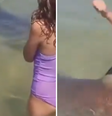 Caso ocorreu na praia de Olga, perto de Hadera, noroeste de Israel  Foto: Reprodução/X/@SilentlySirs