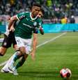 Estêvão em ação pelo Palmeiras  Foto: Getty Images/Sports Press Photo
