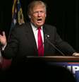 O presidente dos Estados Unidos, Donald Trump  Foto: depositphotos.com / actionsports / Perfil Brasil