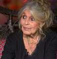 Brigitte Bardot na entrevista em sua casa, no sul da França, de onde sai poucas vezes  Foto: Reprodução/TV