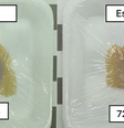Embalagem muda de cor para mostrar se peixe está bom ou não para consumo  Foto: Reprodução/Youtube Embrapa