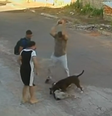 Homem usa pedra para parar ataque de pitbull em Goiânia  Foto: Reprodução/TV Globo