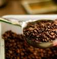 FILE PHOTO: Beans are scooped at a Starbucks coffeehouse in Austin, Texas, U.S., February 11, 2017. Picture taken February 11, 2017. REUTERS/Mohammad Khursheed/File Photo  Foto: Reuters