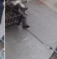 Influencer denuncia ter levado soco de homem desconhecido na rua  Foto: Reprodução/Instagram