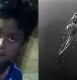 Menino de 13 anos é devorado por crocodilo  Foto: Reprodução e Unsplash / Contigo