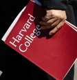Brasileiros em Harvard relatam clima de tensão durante embate entre Harvard e o governo Trump  Foto: Sophie Park / Getty Images