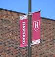 As tensões ocorrem durante o cabo-de-guerra entre Donald Trump e a Universidade de Harvard. Na última semana, o governo tentou proibir a instituição de ter alunos estrangeiros, que recorreu na Justiça e conseguiu uma decisão favorável.  Foto: Reprodução/Getty Images