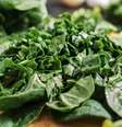 Os vegetais mais ricos em ferro são os de folhas verde-escuras  Foto: Freepik
