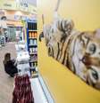 O acordo de fusão entre as duas varejistas de produtos para animais de estimação foi anunciado em agosto de 2024  Foto: Werther Santana/Estadão / Estadão