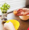 Entenda se dá para comer ovo todo dia sem prejudicar a saúde  Foto: Freepik