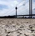 Leito seco do rio Reno, em trecho na cidade de Düsseldorf  Foto: DW / Deutsche Welle
