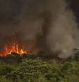 Incêndios florestais estão entre os causadores de desmatamento no Brasil  Foto: Agência Brasil/Marcelo Camargo