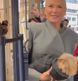 Cachorro de Xuxa vai em desfile de moda e web dispara  Foto: Reprodução/EduAraujoAgnews / Contigo