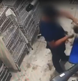 Cachorra é agredida durante tosa em pet shop e fica com lesão no olho  Foto: Reprodução/TV Globo