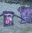 Camisetas congelaram após ficarem do lado de fora de casa em São Joaquim (SC)  Foto: Mycchel Legnaghi/Imagem cedida ao Terra