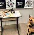  Foto: Divulgação/Polícia Civil / Porto Alegre 24 horas