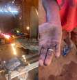 Trabalhadores foram resgatados em fazendas na Bahia  Foto: Divugação/MTE