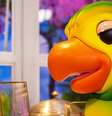 Louro Mané, do 'Mais Você', renova contrato com a Globo e salário do ator, sucessor de Tom Veiga, é revelado.  Foto: Divulgação/TV Globo / Purepeople