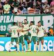 Elenco do Palmeiras celebra gol contra o Inter Miami na Copa do Mundo de Clubes  Foto: Hector Vivas - FIFA/FIFA via Getty Images
