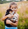 Conheça as raças de cães mais dóceis e divertidos para crianças  Foto: Freepik
