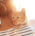 Assim como os gatos, seus tutores tendem a ser calmos e reservados, preferindo por ambientes e círculos sociais com pouca agitação  Foto: Canva Equipes/SeventyFour / Bons Fluidos