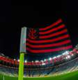 Bandeirinha de escanteio do Flamengo  Foto: Bandeirinha de escanteio do Flamengo ( Divulgação/Flamengo) / Gávea News