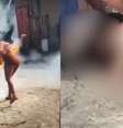 Mulher fica gravemente ferida após ter rosto atingido por espada junina na Bahia  Foto: Reprodução/X/@Blogdoea