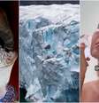 Empresa vende gelo de icebergs da Groemlândia para mercado de luxo  Foto: Reprodução/Instagram