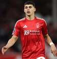  Foto: Michael Steele/Getty Images - Legenda: Palmeiras intensifica conversa por Sosa / Jogada10