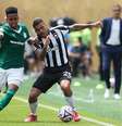 Estêvão, do Palmeiras, contra o Botafogo  Foto: Cesar Greco/Palmeiras
