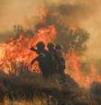 Bombeiros trabalham no combate ao indêndio florestal na ilha de Creta, na Grécia.  Foto: AFP - COSTAS METAXAKIS / RFI