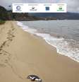 Pinguim é encontrado morto na Praia do Itaguaçu, em Ilhabela.  Foto: Divulgação/Instituto Argonauta / Estadão