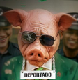 Palmeiras é deportado dos Estados Unidos  Foto: Reprodução/Twitter