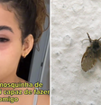 Jovem vai parar no médico após mosca entrar no olho: ‘Desesperada’  Foto: Reprodução/Tik Tok