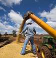 Indicador da agropecuária caiu 4,25%, segundo o BC  Foto: Tiago Queiroz/Estadão / Estadão