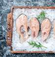 Peixe fresco deve estar congelado antes do preparo para o consumo cru  Foto: Freepik