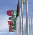 Foto ilustrativa com bandeiras de Brasil e Portugal  Foto: VIEW press / GettyImages