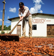 No Pará, mais de 2 mil produtores rurais são atendidos pelo Programa Territórios Sustentáveis (TS) em 43 municípios, com ações de fomento ao desenvolvimento socioeconômico. A iniciativa, gerida pela Secretaria de Estado de Meio Ambiente e Sustentabilidade do estado, é um exemplo local de transição para a economia de baixas emissões em áreas pressionadas pelo desmatamento.  Foto: Alex Ribeiro / Agência Pará, CC BY / The Conversation