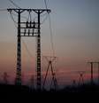 Linhas de transmissão de energia
22/11/2023
REUTERS/Kacper Pempel  Foto: Reuters