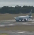 Avião da Alaska Airlines colide com grupo de veados em pista de pouso  Foto: Fuutii4312 / Reprodução