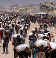 Palestinos carregam sacos de farinha distribuídos no norte da Faixa de Gaza após pausa em combates  Foto: ANSA / Ansa - Brasil