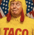 Trump vira motivo de piada entre brasileiros  Foto: Reprodução/X