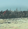Sob disparos, multidão avança sobre caminhão com alimentos em Gaza  Foto: Divulgação/Unocha