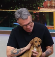 Neto adota cachorro  Foto: Reprodução/Youtube/Donos da Bola