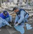 Ação de combate à febre do Nilo Ocidental em Caserta, na Itália  Foto: ANSA / Ansa - Brasil