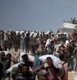 Durante crise humanitária, palestinos arriscam a vida ao tentarem acessar a oferta limitada de alimentos básicos, como farinha, na Faixa de Gaza  Foto: DW / Deutsche Welle